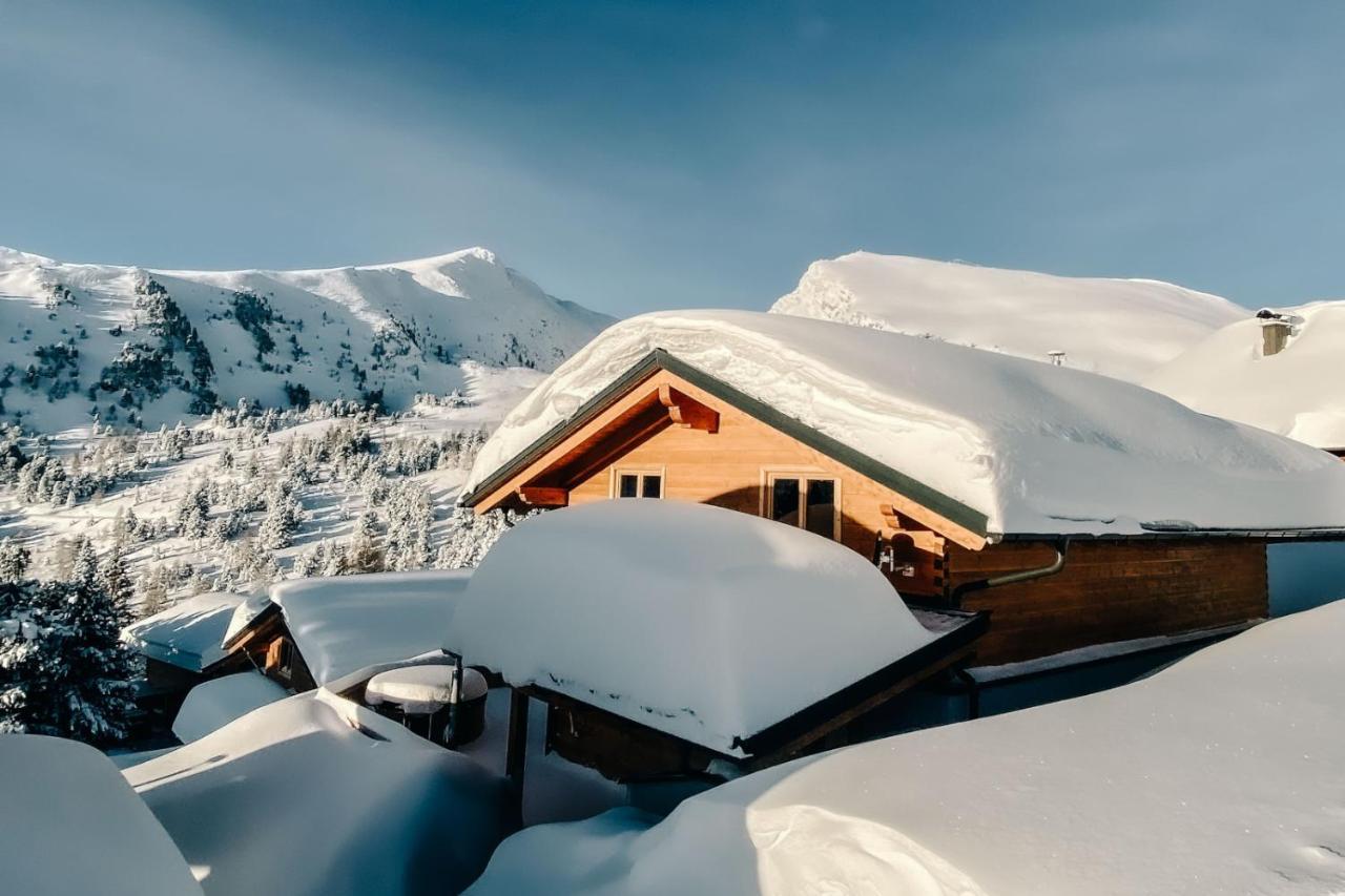 Heidi Chalets Falkert Heidialm - Chalets Bergwinter Patergassen Exterior foto